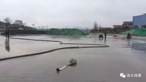 拆鍋爐、抑揚(yáng)塵、禁焚燒 珠珊鎮(zhèn)大氣污染防治成效顯著，合同能源管理助力綠色發(fā)展