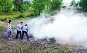 禁止焚燒秸稈，推動(dòng)大氣污染治理，守護(hù)生活環(huán)境